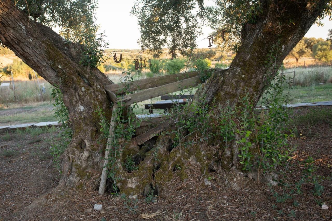 Monte Dos Vicentes Herdade Da Yucca Terena Экстерьер фото